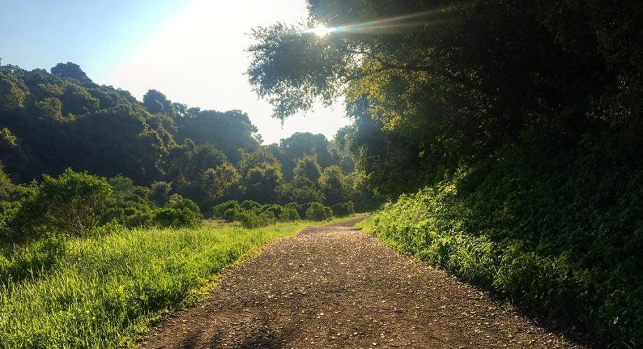 5 Tips for Trail Running with Anxiety and Depression