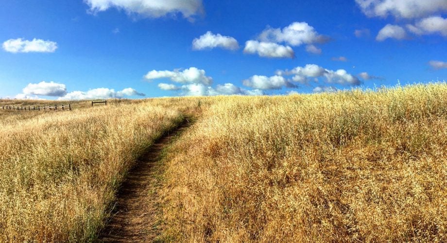 Mastering the Lunchtime Run