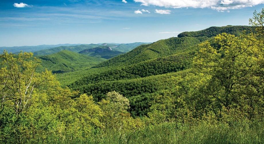 Black Mountain, North Carolina: A Southeastern Haven