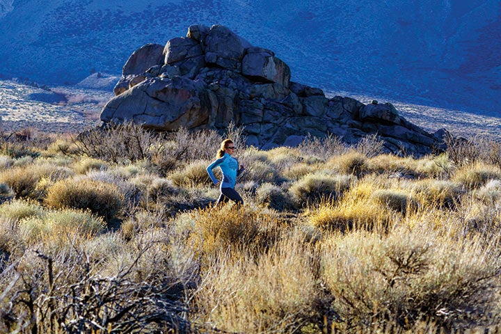 Nestled between the Sierra Nevada on the west and the White Mountains on the east, the Owens Valley offers all the mountain amenities.