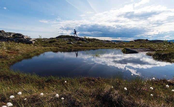 Get off the beaten path in La Malbaie, "the country of the moose, the beaver, the wolf and the whale."