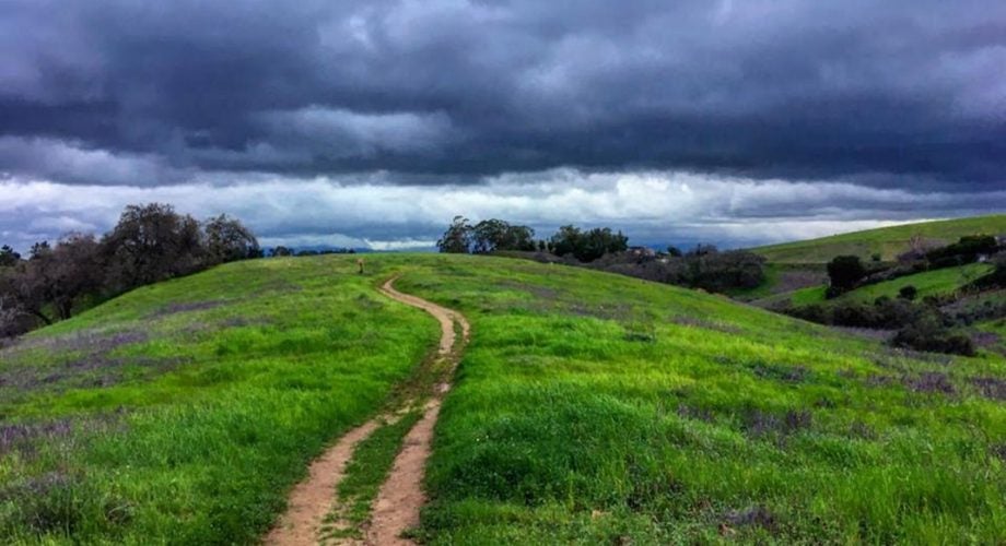 New to trail running, or coming back after a hiatus? Not a problem!