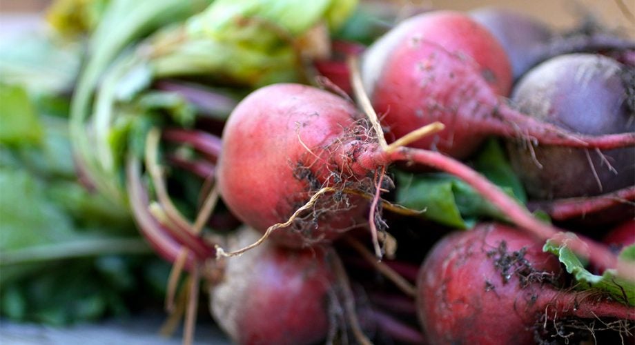 Beet the Clock