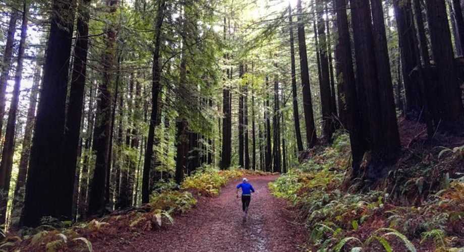 Year in Review: The Best of Coach Roche, Top Training Tips from 2017